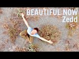 Zedd - Beautiful Now ft. Jon Bellion (Michele Grandinetti Cover)