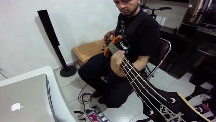 Bass cover - Irresponsible hate anthem (1996)