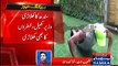 Sindh's Sports Minister challenges Punjab Minister of doing 50 push ups