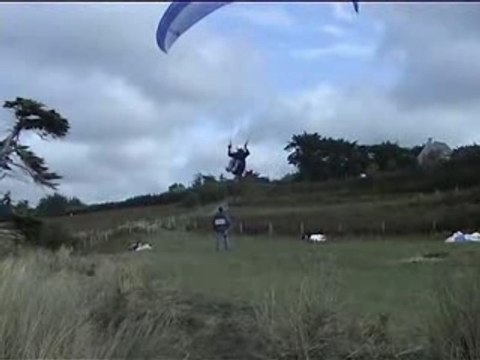 Les Goélands à St Pabu (22)