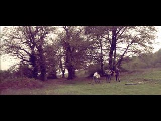 La Rua "Non Sono Positivo Alla Normalità" (Official Video)