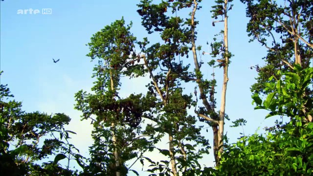 Zanzibar Îles de beautés