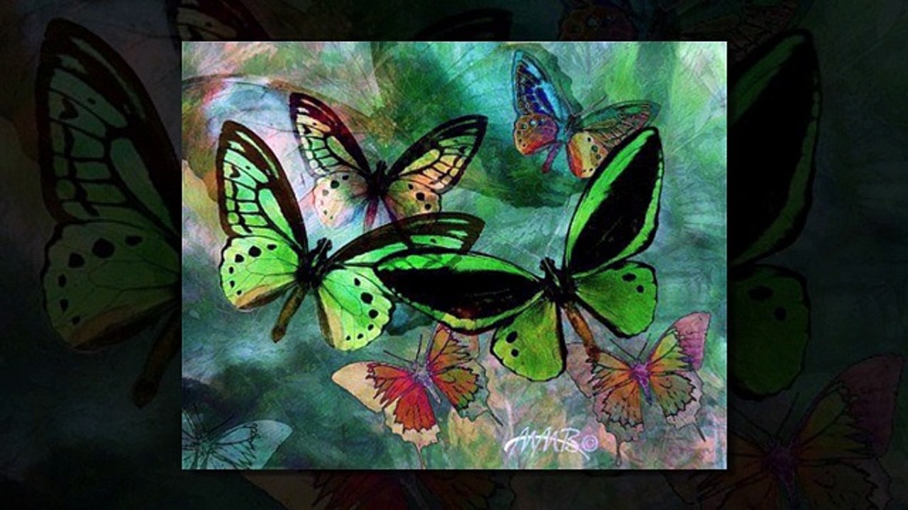 punjabio song happy birth day(happy birth day ayesha butt