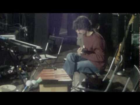 Elio e le Storie Tese Tour Diary 2010 - Faso e l'ukulele