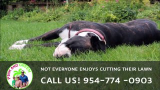 Wilton Manors Professional Lawn Service