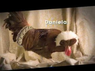 Alti & Bassi - Paradisi - Toccata a cappella - Le Cocche di LEI