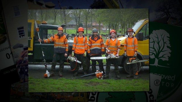 Professional Tree Cutting Long Eaton | Canopy Tree Services Nottingham | 0115 832 0247