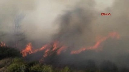 Bodrum Tarım Arazisinde Başlayan Yangın Ormanı da Yaktı