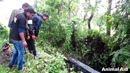 Sauvetage d'une chienne tombée au fond d'un puits !