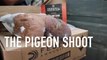 The Pigeon Hunt