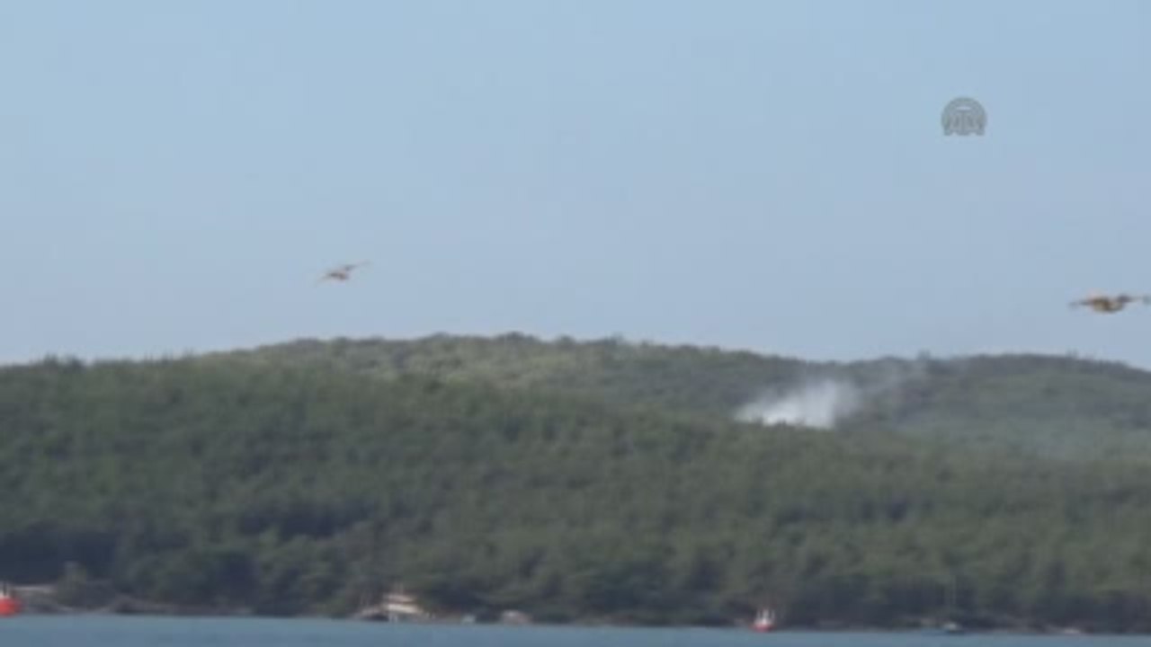 Orman Yangını