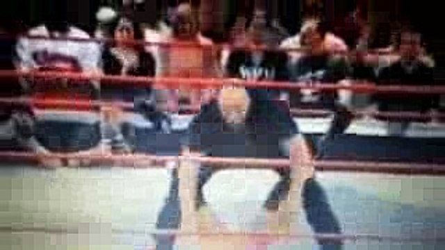 Wwe Raw 14 6 2016 goldberg return to wwe and attack all the superstar