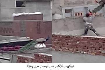 Dangerous bike crash Man Died