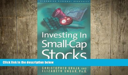 EBOOK ONLINE  Investing in Small-Cap Stocks  BOOK ONLINE