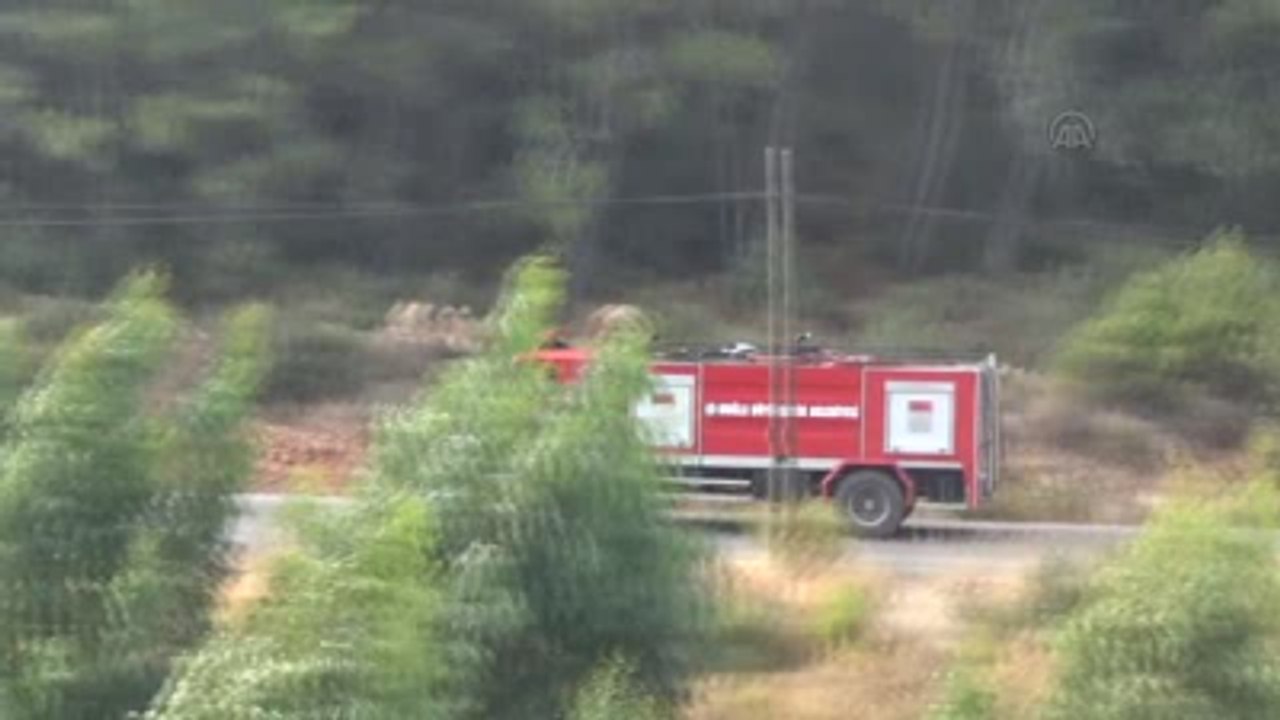 Orman Yangını