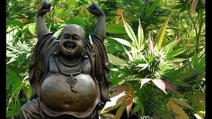 Daddy Mory - Melange Toxik !! Medley !!!