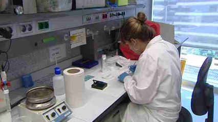 Descubren un receptor neuronal culpable de los fallos de memoria que provoca el estrés