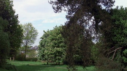 Déchirés / Grave - VF