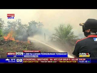 Pemadam Kebakaran Kewalahan Atasi Api di Riau