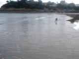 jeu de plage pour chien