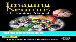 Books Imaging Neurons: A Laboratory Manual Free Online