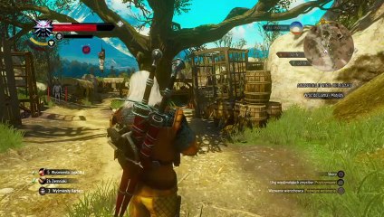 omer_pl's Live PS4 Broadcast Witcher3 Blood & Wine (polish)