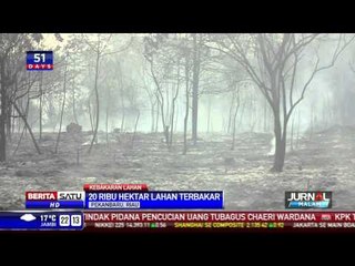 Sekolah di Riau Diliburkan Akibat Kabut Asap