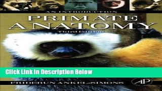Books Primate Anatomy, Third Edition: An Introduction Full Online
