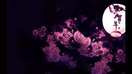 Beautiful Chinese Music - Traditional Style (Style 11)