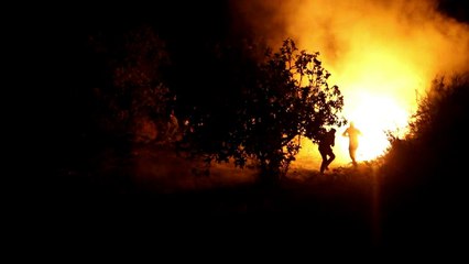 الجيش الاسرائيلي يهدم منزل فلسطيني قتل فتاة اسرائيلية اميركية