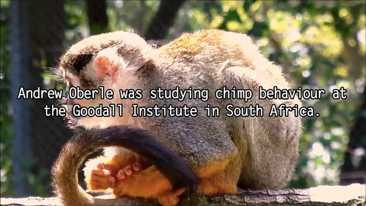10 Deadliest Animal Attacks