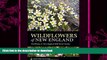 READ  Wildflowers of New England: Timber Press Field Guide (A Timber Press Field Guide)  BOOK