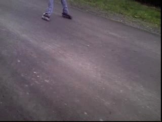 chute dans un buisson