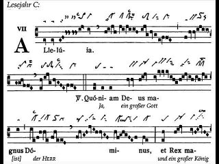 Alleluia Quoniam Deus, Dominica XXI TpA (21 TO)