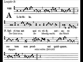 Alleluia Spiritus est, Dominica XXI TpA (21 TO)