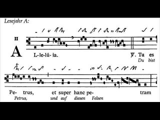 Alleluia Tu es Petrus, Dominica XXI TpA (21 TO)