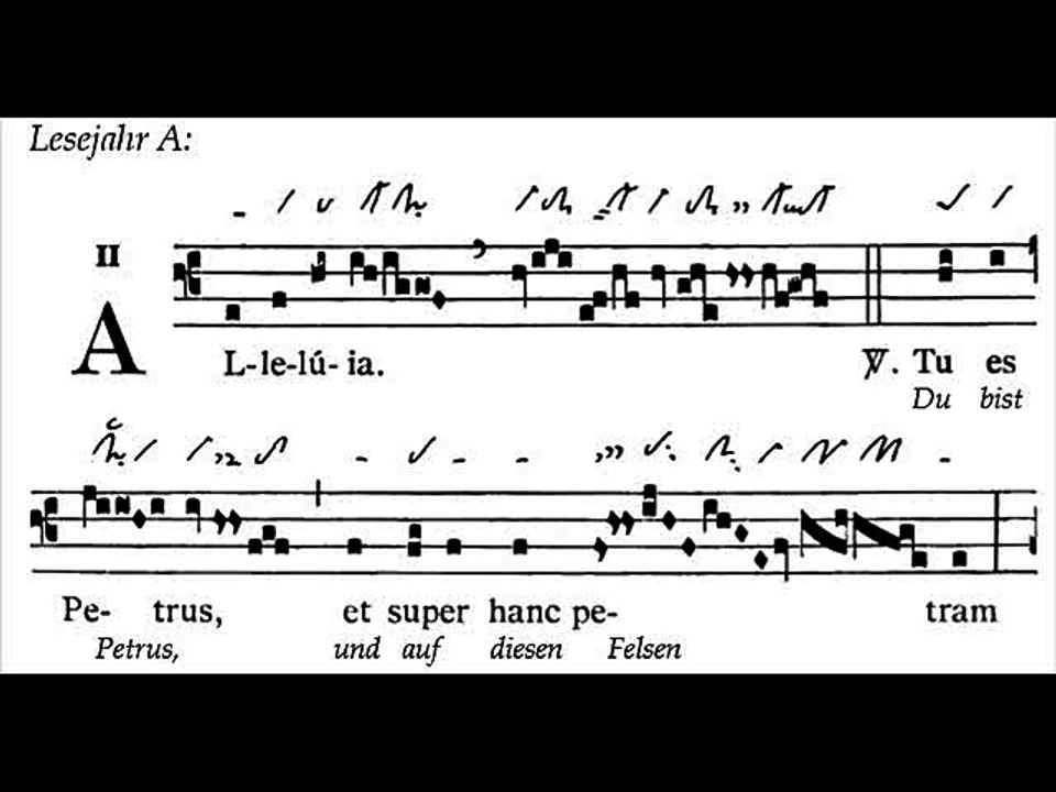 Alleluia Tu es Petrus, Dominica XXI TpA (21 TO)