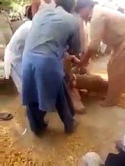 funny clips-funny pranks-funny fails-funny videos-Best Fails-top funny-funny videos 2016-Funny