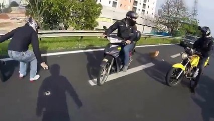 Des motards créent un bouchon sur l'autoroute pour secourir un petit chien