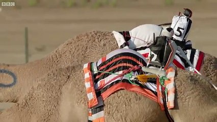One-Million-Dollar-Camel-Race Wild-Arabia