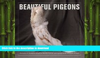 READ BOOK  Beautiful Pigeons FULL ONLINE