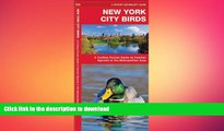 READ  New York City Birds: A Folding Pocket Guide to Familiar Species in the Metropolitan Area