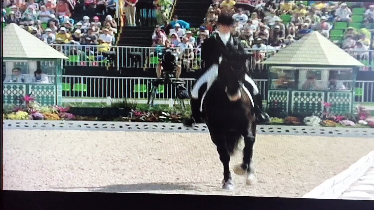 Alternative Dressage Commentary