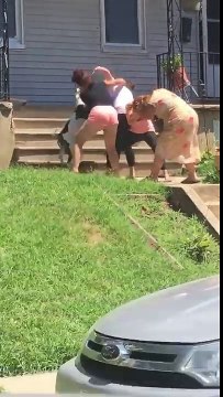 Altercation entre deux familles voisines qui poussent chiens et chats à s'y mêler !