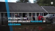 Airbnb offering free housing to Louisiana flood victims