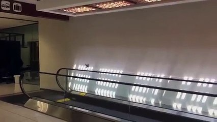 Un oiseau s'amuse sur la rampe d'un tapis roulant dans un aéroport