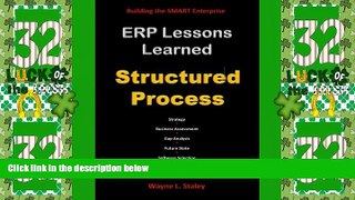 Big Deals  ERP Lessons Learned - Structured Process  Best Seller Books Best Seller