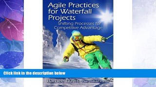 Big Deals  Agile Practices for Waterfall Projects: Shifting Processes for Competitive Advantage