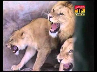 Manzoor Kirloo - Saraiki Drama Manzoor Kirloo - Part 5 - Official Video