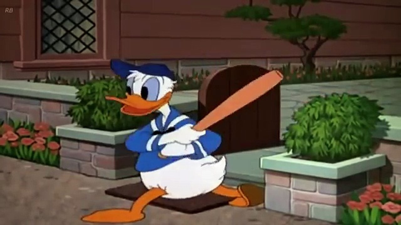 Donald Duck With Bee Cartoons   Donald Duck And Bee Best Collection